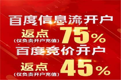 SEM服务助力电商行业案例解读